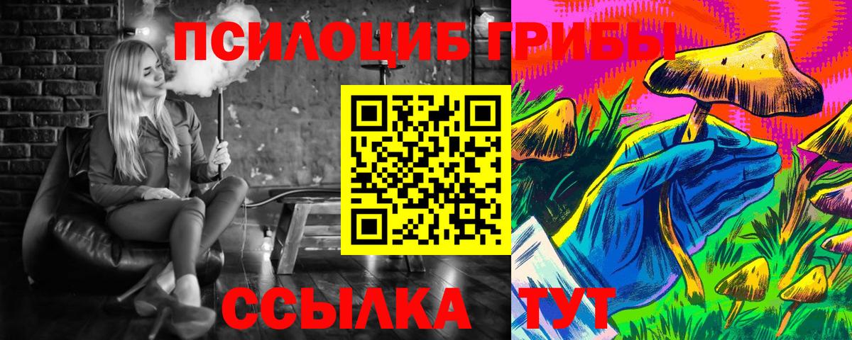 Галлюциногенные грибы MAGIC MUSHROOMS  хочу наркоту  Георгиевск  Вход с VPN 
