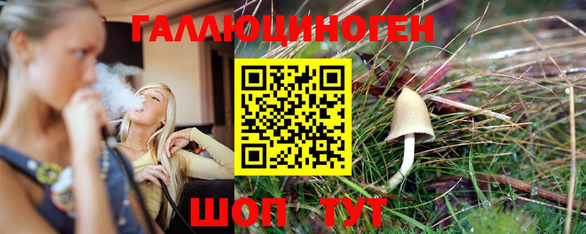 Галлюциногенные грибы MAGIC MUSHROOMS Георгиевск